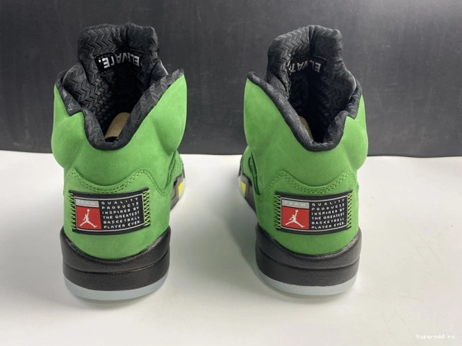 Oregon 5 SE CK6631-307 Air Jordan Ducks 1018